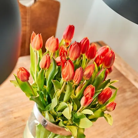 Haus Deepensoll 39 Grosse Auszeit * Pelzerhaken