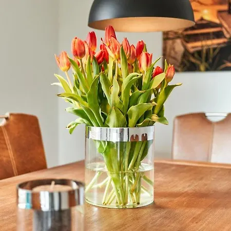 Haus Deepensoll 39 Grosse Auszeit Lejlighed Pelzerhaken