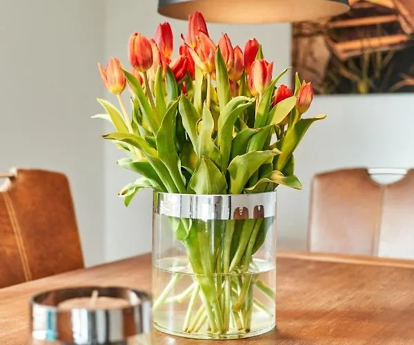 Haus Deepensoll 39 Grosse Auszeit Appartement Pelzerhaken